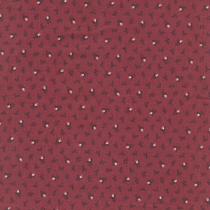 Marcus Fabrics Paula Barnes Backing R360997 0111