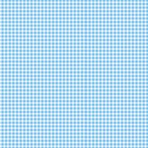 Makower Gingham 920/B4 Light Blue Quiltstof Patchworkstof