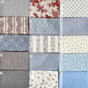 21C Blauw serie Quiltstof Patchworkstof