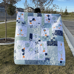 Meags and Me Duck Duck Goose Quilt